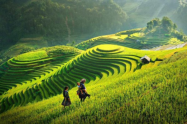 Sapa Travel Guide